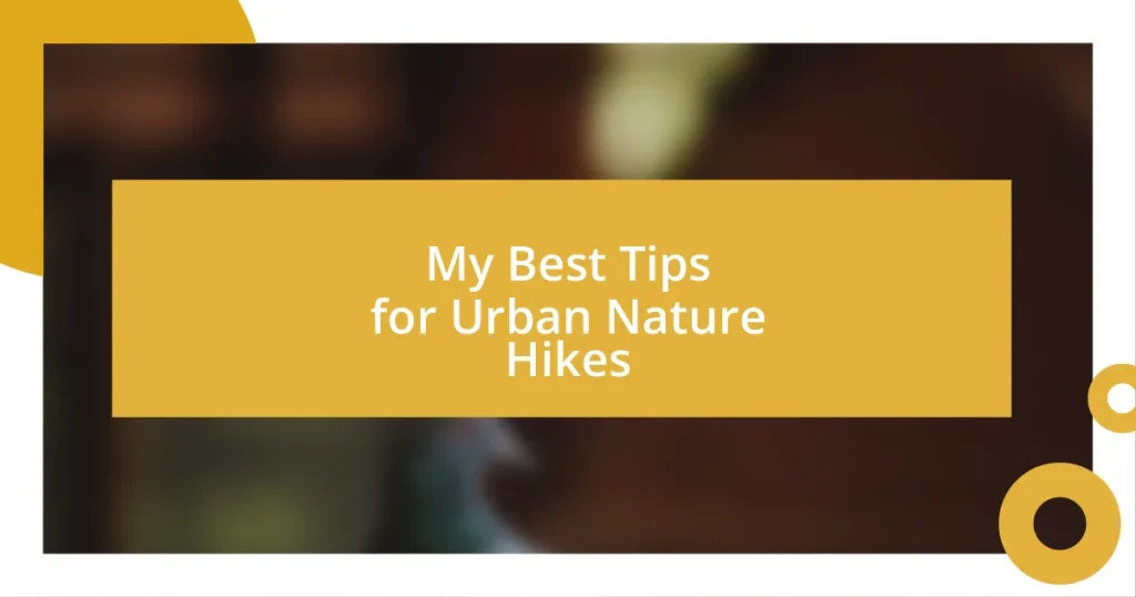 My Best Tips for Urban Nature Hikes