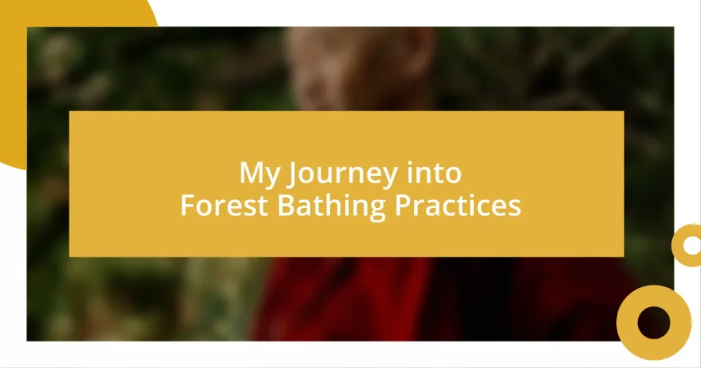 My Journey into Forest Bathing Practices