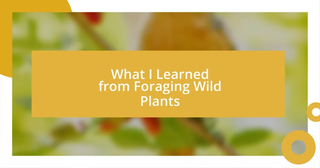 What I Learned from Foraging Wild Plants