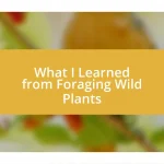 What I Learned from Foraging Wild Plants